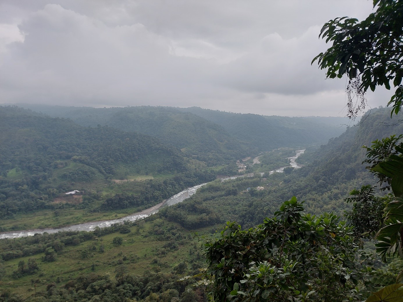 Wald Ecuador ©KEK