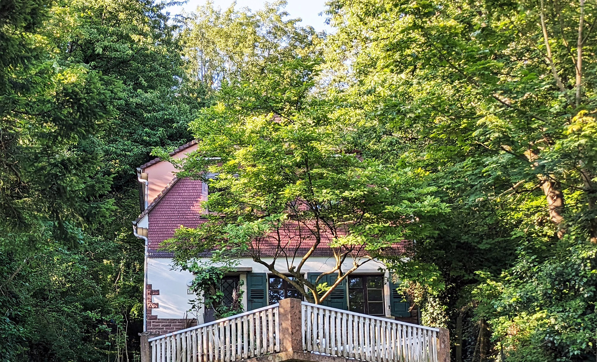 Galina Freunds Haus stehend im grünen Wald.
