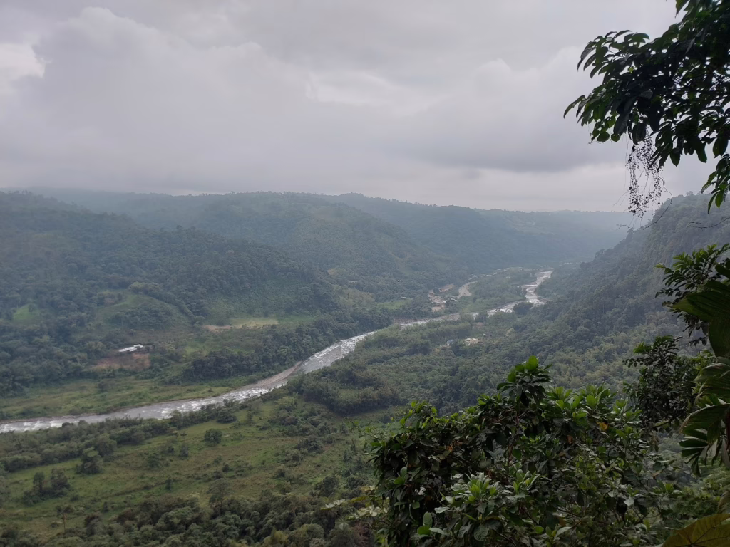 Landschaftsbild, das einen Fluss und einen großen grünen Wald in Ecuador zeigt.