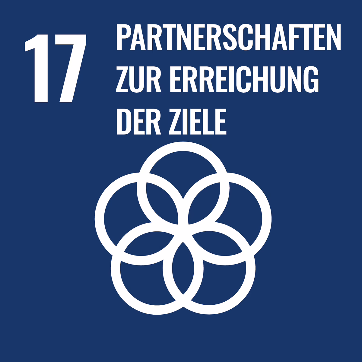 Ziele für nachhaltige Entwicklung Nr. 17