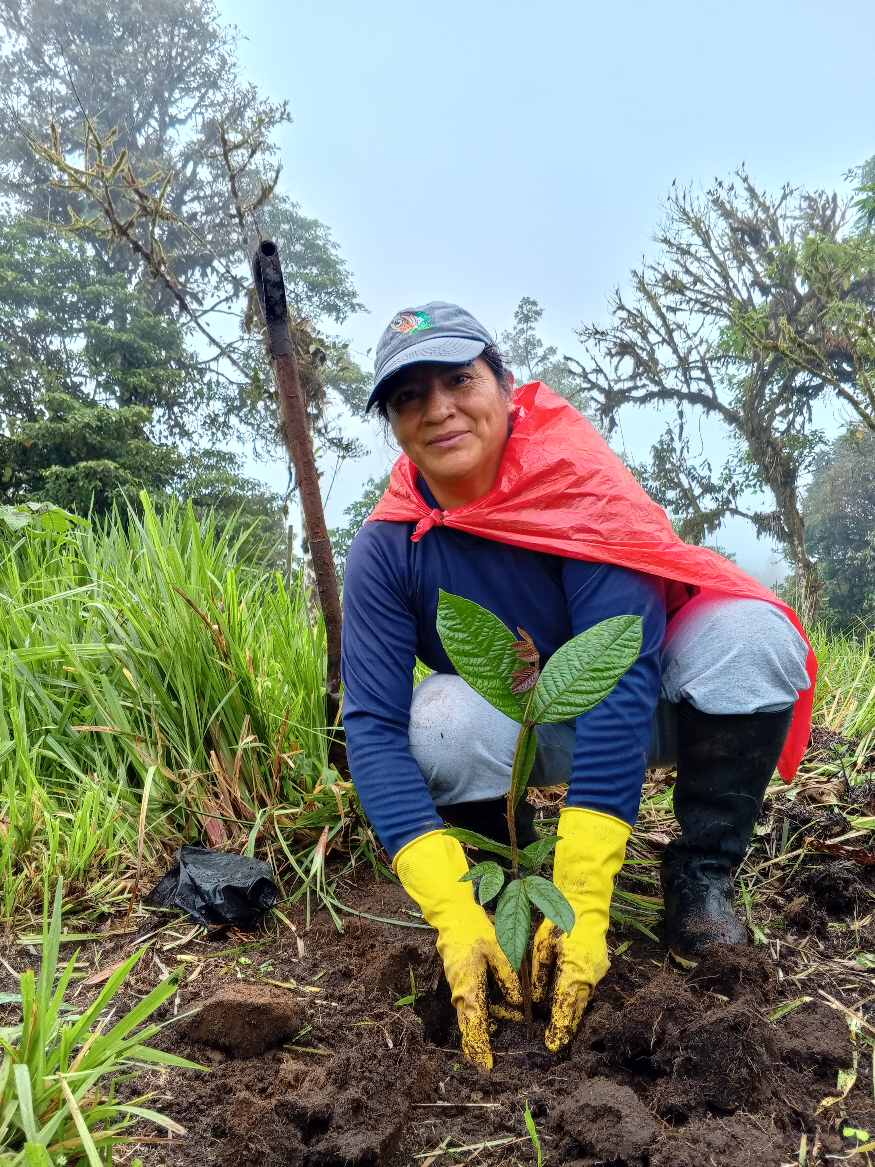 Dona Norma vom Aufforstungsteam Ecuador bei der Arbeit.
