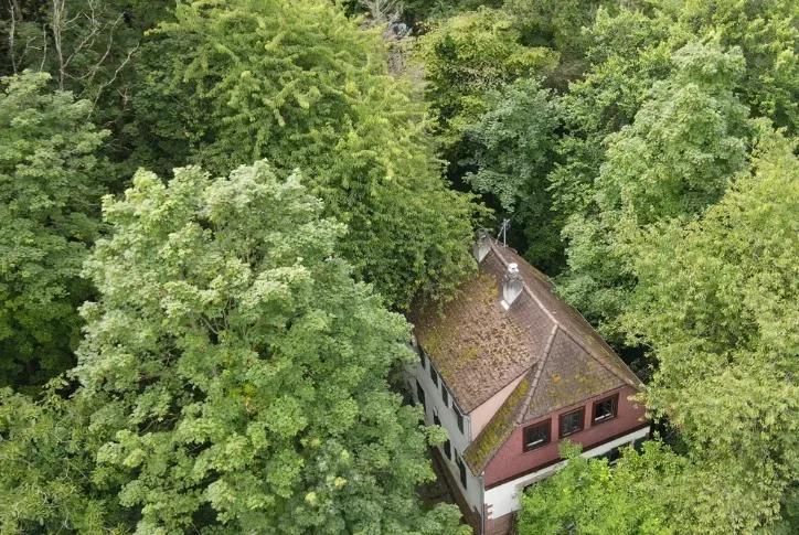 Grüner Wald, in dessen Mitte ein Einfamilienhaus steht.
